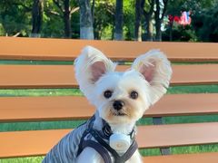 -纳吉亚猫专科动物诊疗中心(蒋宅口分院)