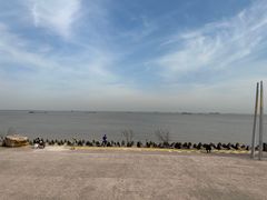 -上海滨江森林公园