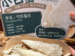 -芸山季·云南山珍菌火锅(南翔印象城MEGA店)