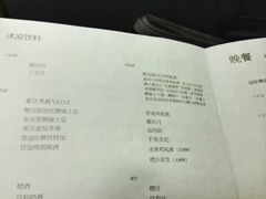 -新加坡航空公司(ION)