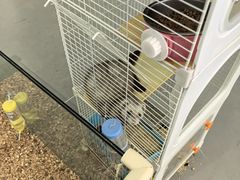 -季高兔窝窝亲子园(上海薰衣草公园店)