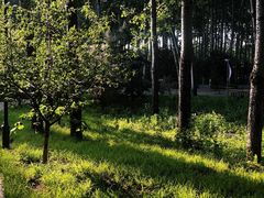 -仁和公园(顺义区)