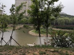-大连外国语大学(旅顺校区)