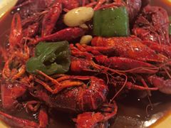 -杨氏青龙虾·羊蝎子(珠江路店)