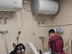 -美联众合爱康动物医院•复杂内科•肿瘤科•牙科•腔镜诊疗中心