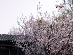 -三里河公园