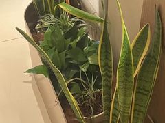 -泰合玺·精油疗愈 SPA(南京河西万达店)