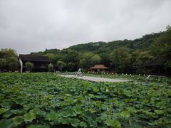 -诸暨同方豪生大酒店