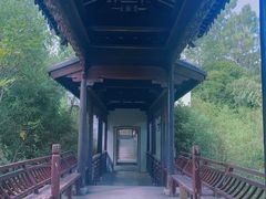 -八大山人梅湖景区