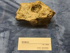 -国家自然博物馆