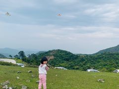 -大姆山草场