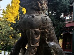 -莲池书院博物馆