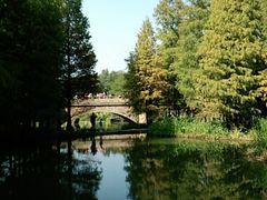 -云溪植物园