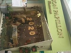 -蝶舍·MAISON PAPILLON