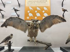 -青藏高原自然博物馆