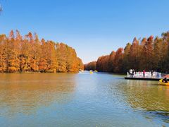 -上海海湾国家森林公园