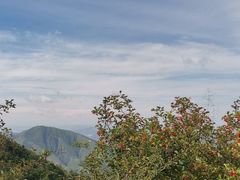 -云顶山风景区