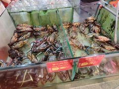 -大茄来海鲜餐厅(亚洲城分行)