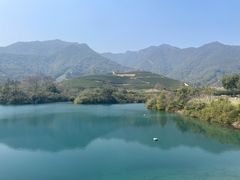-龙坞茶村