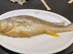 -吴记富苑(朝阳店)