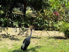 -吉隆坡雀鸟公园