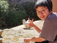-杨家堂村