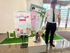 -大商麦凯乐(大连总店)