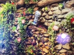 -一桶江山餐厅(松北店)