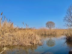 -泗洪洪泽湖湿地景区