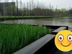 -圩墩遗址公园
