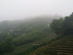 -东部华侨城