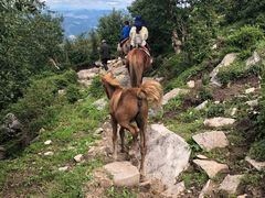 -灵山