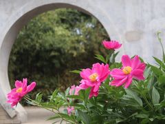-丰台花园