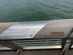 -星光大道