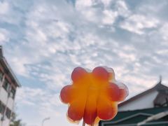 -书亦烧仙草(崇州小东街店)