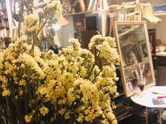 -斯多格书乡(北京大学畅春园店)