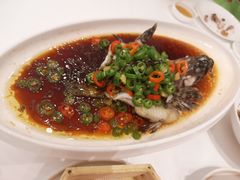 -茗鼎汇(星方汇广场店)