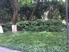 -常州古运河南大街文化旅游区-人民公园