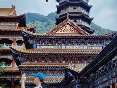 -天目山大树王景区
