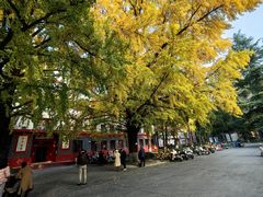 -四川大学(望江校区)