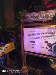 -恐龙探索乐园(磁器口店)