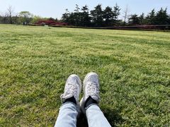 -东方绿舟景区