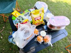 -上海吴淞炮台湾国家湿地公园