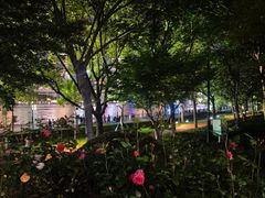 -浦江二号·独栋江景餐厅(滨江大道店)