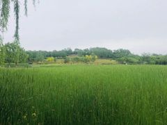 -北坞公园