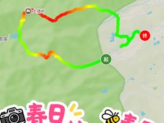 -午潮山国家森林公园