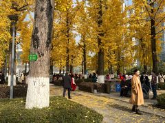 -百林公园-两江幸福广场