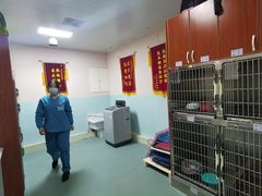 -小伙伴宠物医院•急重症转诊中心·老年专科·犬猫全科(北大街总院)