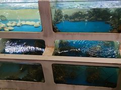 -质烤烤物·活烤海鲜(质烤总店)