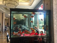 门面-玉雪春天(中正花园店)